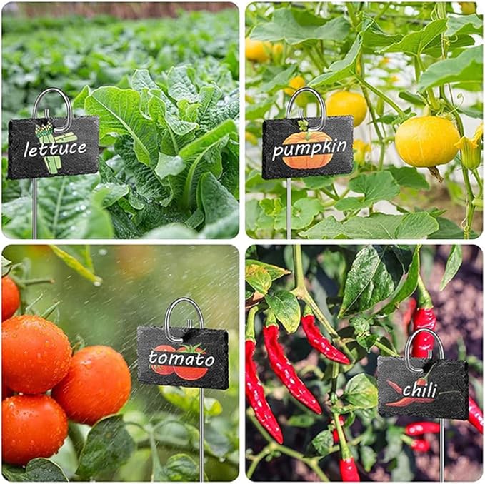 Slate Plant Labels Garden Markers Signs Labels with Stainless Steel Stake & Marker Pen Waterproof Slate Plant Labels for Flowers, Herbs, Potted Plants, Seed (Rectangular, 10PCS)