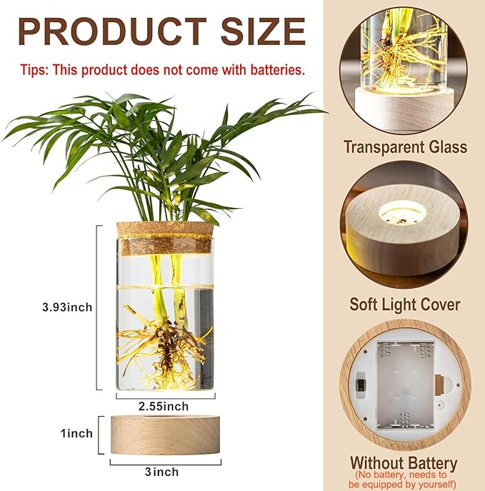 Glass Plant Propagation Stations, Propagation Vases for Plants with Ambient Light Base, Hydroponic Vase for Home & Office Windowsill Tabletop Decoration Desktop Vases for Living Room, Bedroom (2)