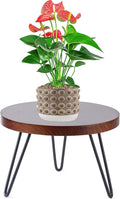 Plant Stand Indoor Outdoor, Wooden plant Stool, Mid Century Plant Stand for Indoor Plants, Wood Modern Plant Holder Rattan Flower, Low Short Boho Rustic Planter Stand Fit 5-15 Inch Pot (Walnut, M)