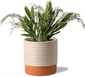 Self Watering Plant Pot : 8 Inch Ceramic Planter with Drainage Hole & Water Storage Plus - Flowerpot for Indoor & Outdoor Plants (Beige & Red-Brown)