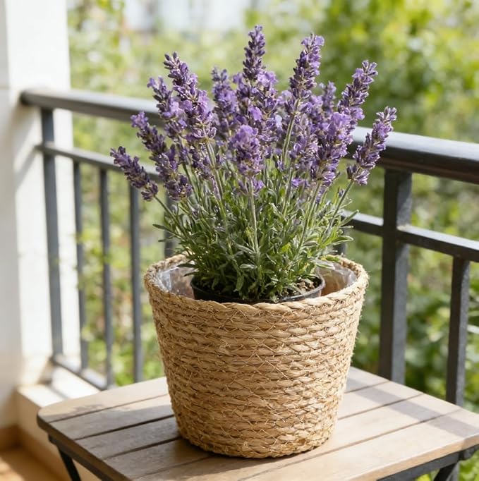 FOMIYES Home Decor Woven Straw Flower Pot Seagrass Planters Basket Garden Plant Pot Containers Wicker Rattan Vase Sundries Organizer Storage Bins for Indoor Outdoor Plants Vintage Decor