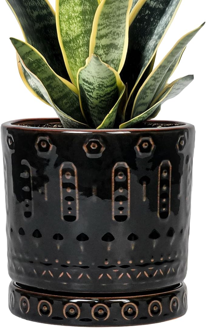 Eightpot Ceramic Plant Pots - 6 Inch Ceramic Planter for Indoor Outdoor, Round Flower Pots with Drainage Hole and Plant Saucer, Boho Decorative Small Planter, House Decor, Gifts for Gardeners, Black