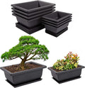 PAMASE 8 Packs Bonsai Training Pot with Humidity Tray - 6.5in & 9in Training Nursery Pots Kit, Plastic Plants Growing Planter with Drainage Tray, Indoor Succulents Decor Garden