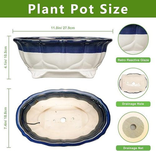 11 Inch Succulent Planters - Ceramic Bonsai Pots with Drainage Hole, Bonsai Planter for Indoor Outdoor Plants, Large Shallow Planter, Patio Garden Decor, Gifts for Plant Lover, Oval Beige-Blue