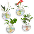 Kingbuy Wall Hanging Glass Planters Propagation Station - 4 Pack Iridescent Oblate Globe Flower Vases for Air Plants, Glass Terrariums with Floating Holders, Boho Indoor Hydroponic Home Office Decor