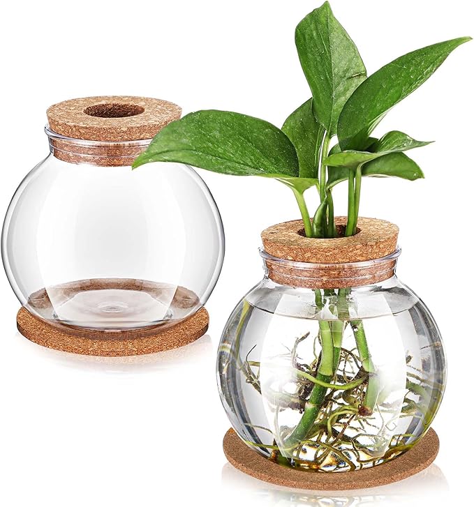 Baderke 2 Packs Propagation Vases for Plants Plastic Plant Propagation Station with Hole Lid and Cork Coasters Plant Growing in Water Hydroponic Home Office Table Decoration(Fish Bowl Style)