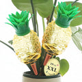 Extra Large Plant Watering Globes for Plants - 19oz Plant Watering Devices, Vacation Self Watering Globes with Slow Release, Indoor Plant Watering Bulbs, Plastic, 2-Pack(2 Pineapples)