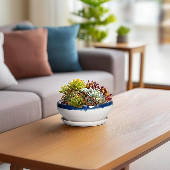 SQOWL Succulent Planters 6 Inch - Ceramic Bonsai Pots with Drainage Hole and Saucer, Round Shallow Planter for Indoor Plants, Ceramic Cactus Pot, Apartment Decor, Gifts for Women, Blue Off-White