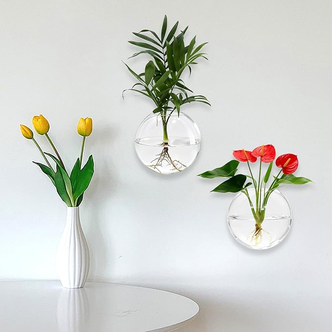 Wall Hanging Planter Propagation Station - 6-Pack Oblate Glass Flower Vases for Hydroponics Plants, Decorative Vases for Bathroom, Home, Office & Living Room, Good Gift
