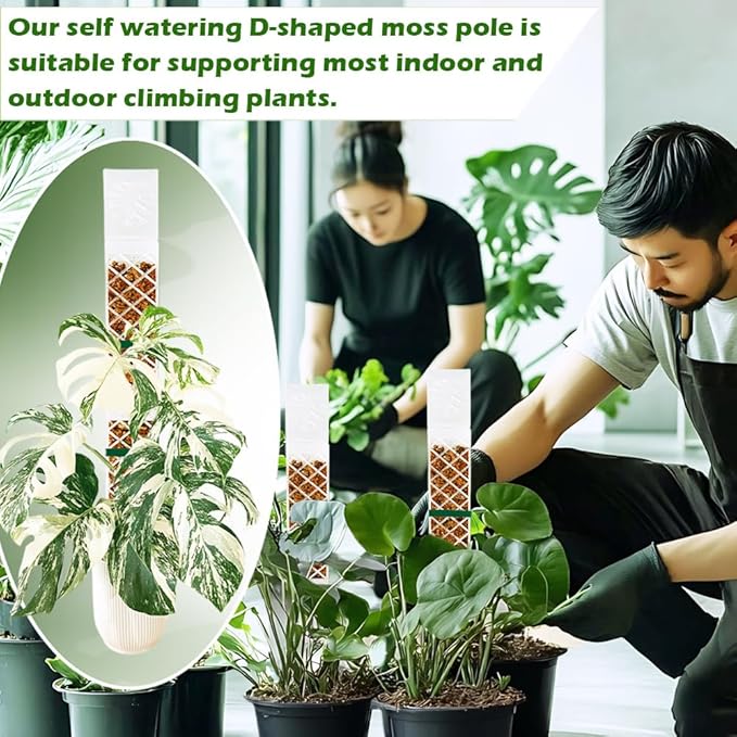 MIIIM 4 Pcs Self-Watering Moss Poles, D Shape Moss Pole Kit for Climbing Plants Indoor, Semi Transparent Monstera Plant Support, 2 Drip Cups and 2 Anchor Stake