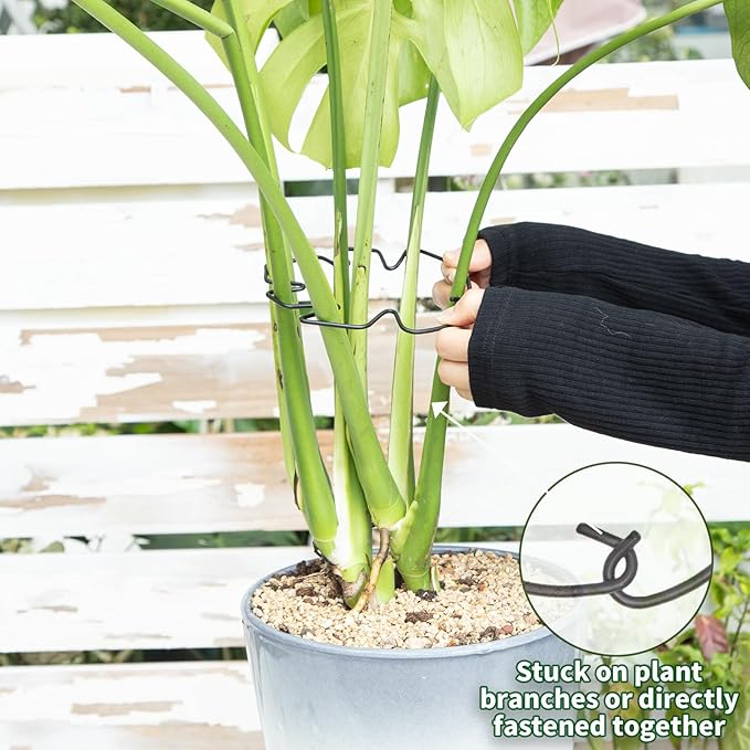 Yohsnor Monstera Plant Stem Support Set of 5 - Durable Stabilizers for Monstera and Climbing Plants - Ideal for Plant Lovers and Garden Care