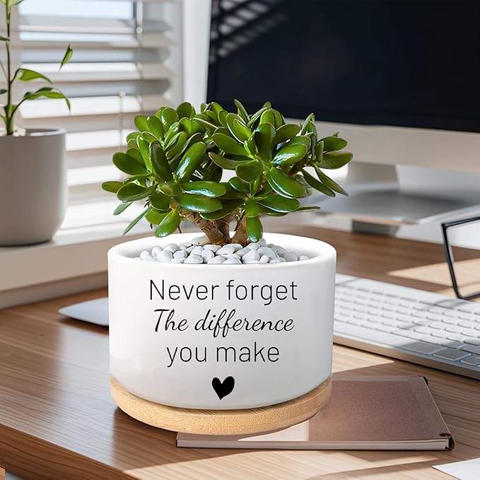 Funny Succulent Plant Pot, Thank You Gifts for Coworker Teacher, Cactus Flower Planter, Going Away Goodbye Appreciation Gifts for Women Men Friend Boss Manager (Plants Not Included)