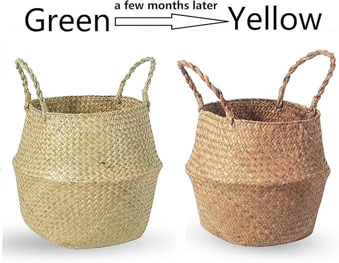 BrilliantJo Seagrass Belly Basket, Set of 2 Woven Plant Pot Holder handmade Home Decor for Storage Plants Picnic Grocery Medium(10.63 x 9.44 inch)