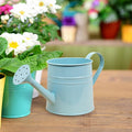 1.6L Watering Can for Indoor Outdoor Plants, Modern Small Watering Cans, Metal Flower Watering Can, Long Spout Watering Can-Colorful Plant Waterer for Indoor Bonsai Plants Garden Flowers (Light Blue)