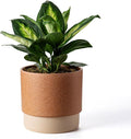 Self Watering Ceramic Planter: 8 Inch Plant Pot with Drainage Hole & Water Storage Plus for Outdoor & Indoor Plants, Succulents, Herbs - Flower Pot for Home or Office Decor - Terracotta