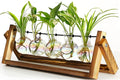 XXXFLOWER Plant Terrarium with Wooden Stand, Wall Hanging Glass Planter Tabletop Propagation Station Metal Swivel Holder Retro Rack for Hydroponics Home Garden Office Decoration - 5 Bulb Vase