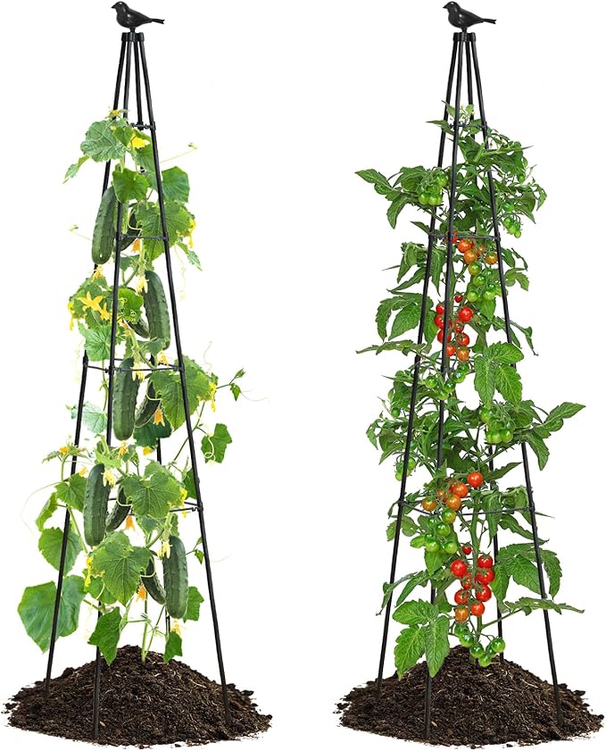 OTOSUNNY Garden Trellis for Climbing Plants Outdoor, 67" Tall Metal Obelisk Trellis Climbing Plants Support for Vegetable|Flower|Vine, Tomato, Peas, Beans, Cucumber, Lightweight, 2 Pack