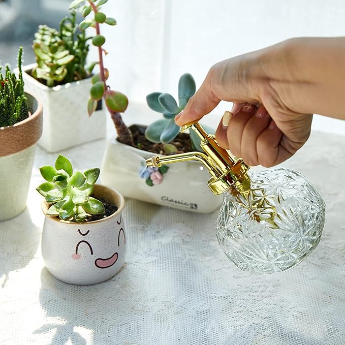 Glass Plant Mister Water Spray Bottle, Succulent Watering Bottle with Plastic Top Pump, 200 ML Capacity Vintage Style Plant Sprayer, Small Watering Can for Indoor Outdoor House Plants - Clear
