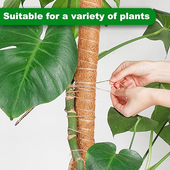 Joyhalo Bendable Moss Pole for Plants, 2 Pack 24 Inch Monstera Plant Support Stakes, Moss Poles for Climbing Plants with Jute Rope, Coco Coir Pole Indoor Plant