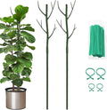 Plant Support Stakes for Indoor Plants,Trellis for House Potted Plants Flower,Monstera Support Sticks with Orchid Clips,Twist Ties(2 Pack Dark Green)