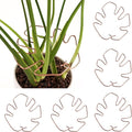 6PCS Plant Stem Support, Copper Monstera Plant Support, Unique Designed Stable Plant Support Stakes for Plants Stabilizer, Turtle Shell Bamboo Clamp Set for Outdoor & Indoor Plants Thriving Growth