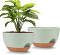 Vanslogreen Plant Pots 12inch Self Watering Pots, Set of 2 Plastic Planters with Drainage Holes and Saucers, Flower Pots for Indoor Outdoor Plants (Green)