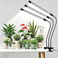Black Grow Lights for Indoor Plants, 126LEDs Clip Plant Lights, Full Spectrum LED Plant Growing Lamps with Flexible Gooseneck, 4/8/12/18H Timer, 3 Spectral Modes, 10 Dimmable Levels?3 Head 1 Pack