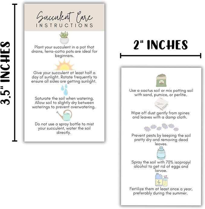 Succulent Care Instruction Cards with Icons 50pk 2x3.5” Home Propagated Plants for Sale Client Care How to Water Kit Plant Tags Labels