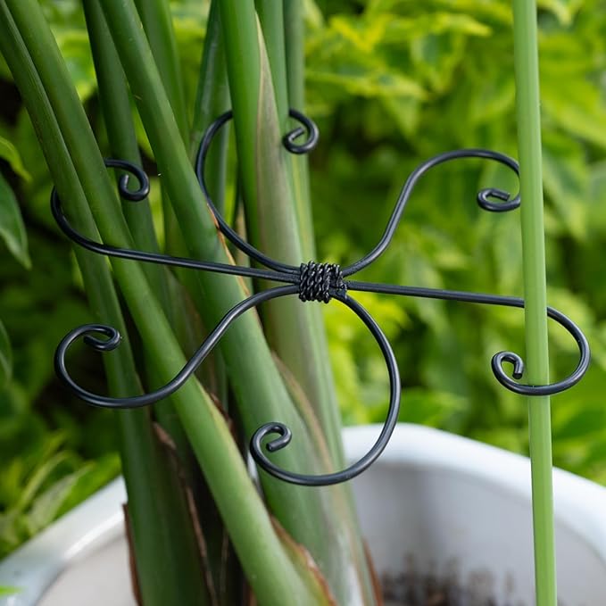 Yohsnor Black Monstera Plant Support Hook - 6.5 * 6.5IN -5 Piece Set, Durable Metal Stem Supports for Indoor Plants, Leaf Holder & Fishbone Cactus Stake, Stylish Design for Healthy Growth & Easy Care