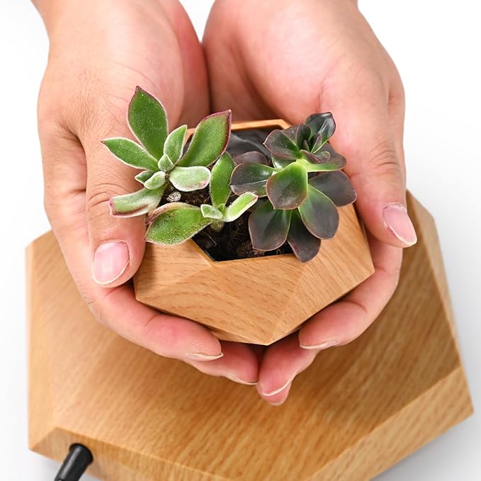 Levitating Plant Pot, Magnetic Levitation Flower Pot Suspension Floating Plant Succulents, Air Bonsai Potted Plant for Home Decoration, Living Room, Office, Desk (Wood)
