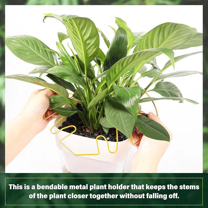 6Pcs Gold Iron Monstera Plant Support Stakes - Indoor Plant Holders for Stem Support and Thriving Growth