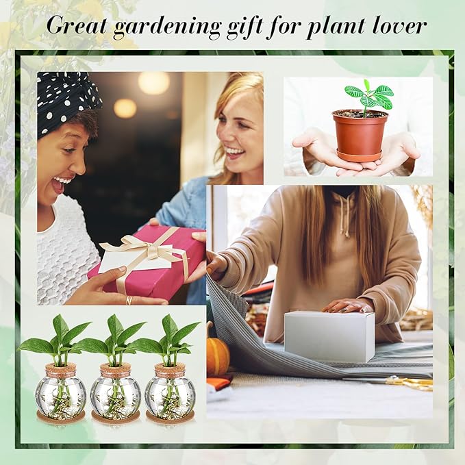 Baderke 9 Packs Propagation Vases for Plants Plastic Plant Propagation Station with Hole Lid and Cork Coasters Plant Growing in Water Hydroponic Home Office Table Decoration(Fish Bowl Style)
