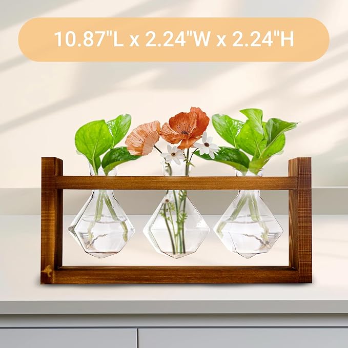 Wooden Base Glass Vase - Plant Holder & Propagation Station for Hydroponic Plants, Desktop Terrarium with Wooden Stand, Stylish Home & Office Décor, Great Gift for Plant Enthusiasts (YMFLX-3B)