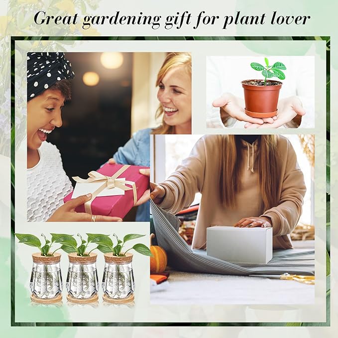 Baderke 12 Packs 4.7" Large Plastic Propagation Vases for Plants with Hole Lid and Bamboo Stand Growing in Water Hydroponic Home Office Desktop Vase Decoration