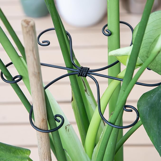 Yohsnor Monstera Plant Stem Support Set - 7.5x7.5 Inch Durable Stabilizers for Indoor Climbing Plants and Leaf Holders - Promote Healthy Growth and Stability (5 Pieces)