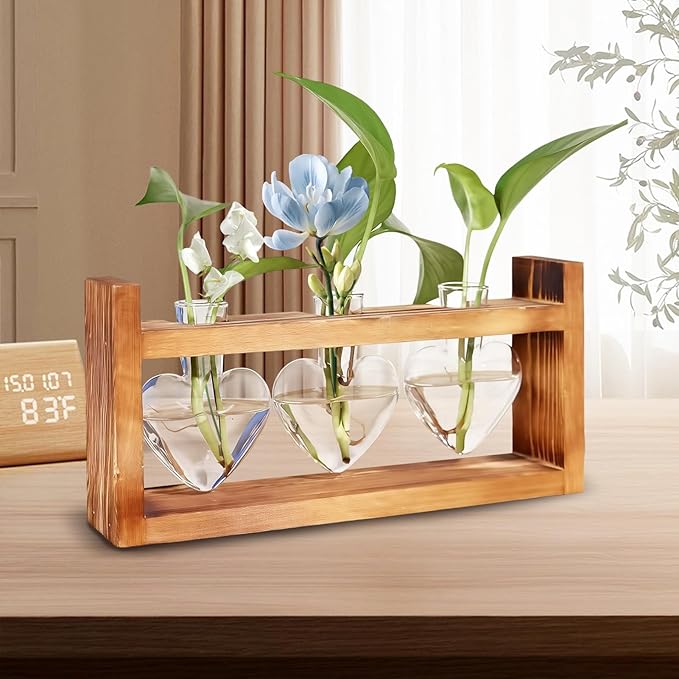 Wooden Base Glass Vase - Plant Holder & Propagation Station for Hydroponic Plants, Desktop Terrarium with Wooden Stand, Stylish Home & Office Décor, Great Gift for Plant Enthusiasts (YMFAX-3B)
