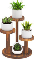 3 Tier Table Top Plant Stand Wooden Round,Small Window Sill Plant Shelf Indoor,Mini Desk Flower Succulent Stand Holder Rack,Little Display Stand for Desktop,Windowsill,Countertop,Kitchen,Oil Painting