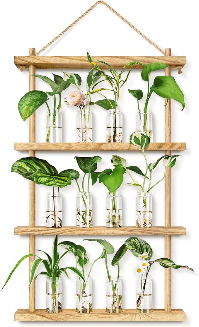 Plant Propagation Stations Wall Hanging Plant Terrarium with Wooden Stand, Wall Planters Vase for Hydroponic Plants Cutting,Home Office Decor Plant Lover Gifts