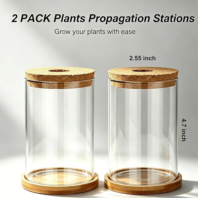Glass Plant Propagation Stations, 2PCS Hydroponic Vases with Wooden Lid and Bamboo Stand for Plant Growing, Home & Office Decor