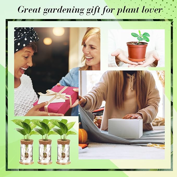 Baderke 9 Packs Propagation Vases for Plants Plastic Plant Propagation Station with Hole Lid and Bamboo Stand Growing in Water Hydroponic Home Office Table Decoration(Classic Style)
