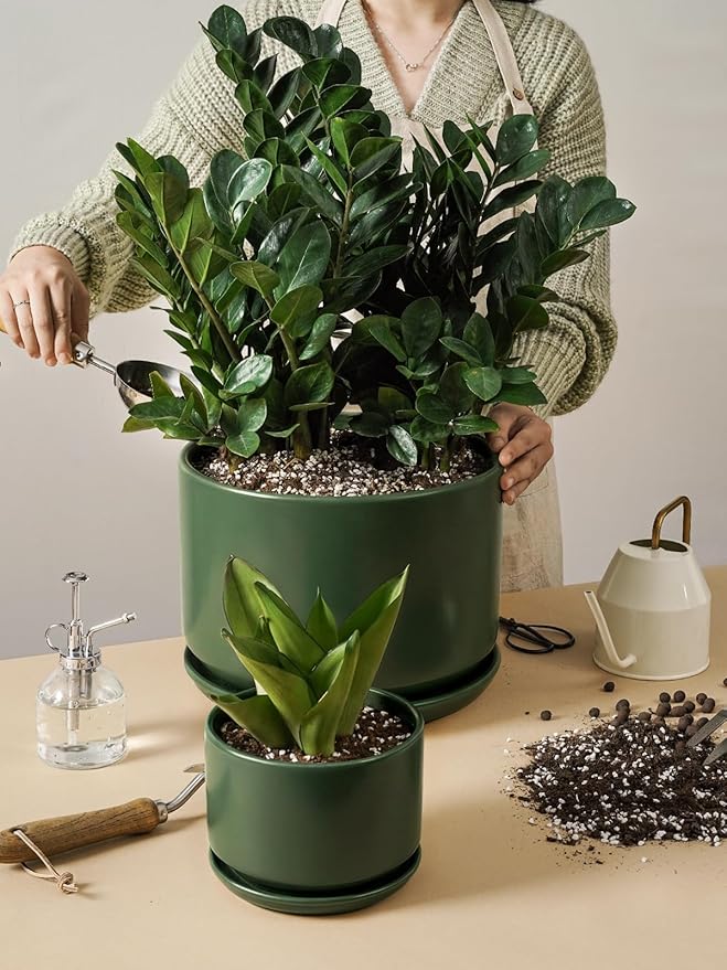 LE TAUCI Ceramic Pots for Plants, Set of 2, 10 + 12 Inch Plant Pot with Drainage Hole and Saucer, Durable & Stylish Planters for Indoor Plants, Elevate Your Home’s Aesthetic, Forest Green