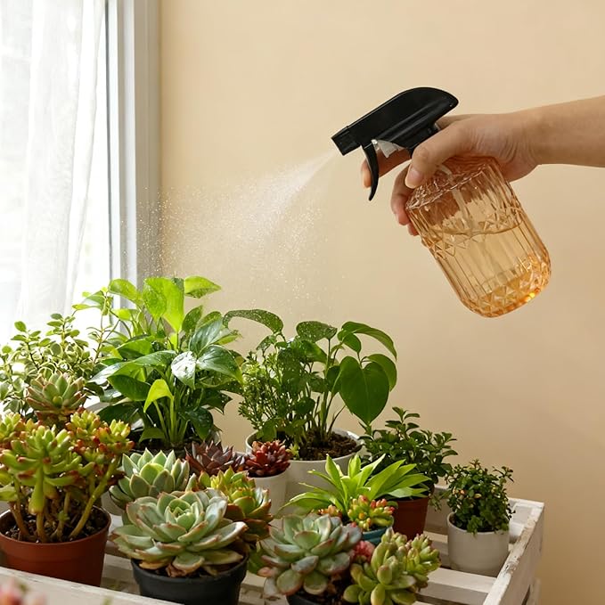 YYTSGG Glass Handheld Spray Bottle, 15oz Refillable Plant Mister Bottle, Water Spray Bottle with Adjustable Mist Nozzle for Indoor Flowers, Outdoor Gardening, Cleaning, Hair and Pets Care (Orange)