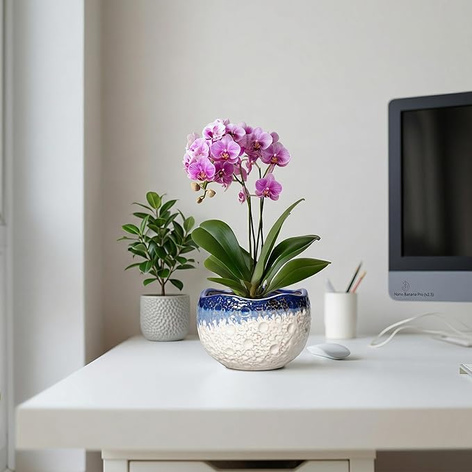 Ceramic Plant Pots - 6 Inch Orchid Pot for Indoor Outdoor Plants, Unique Pots for Plants with Drainage Hole and Plug, Modern Round Planter, Garden House Decor, Housewarming Gifts, Beige-blue