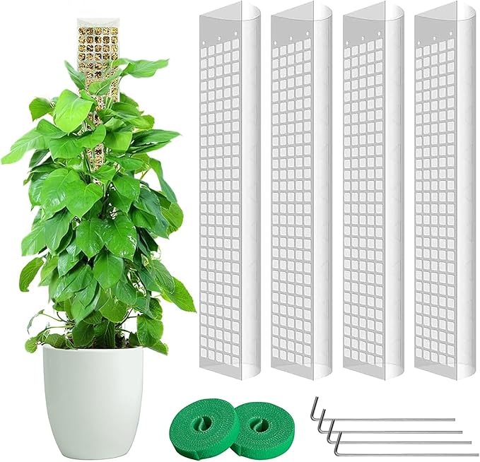 4 Pack 24 Inch D-Shaped Clear Plastic Moss Pole for Plants Monstera, Stackable Climbing Plant Support for Monstera, Pothos, Philodendron, Open Design for Sphagnum Moss