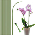 20Pcs Plant Stakes,Plant Sticks,Garden Green Bendable Single Stem Plant Support Stakes for Indoor and Outdoor Plants,Potted Plants,Flowers Orchid Peony Rose-18 Inches