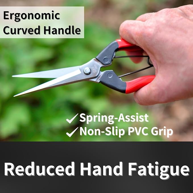 Japanese Garden Shears Long Blade 7.9" for Plants - Needle Nose Pruners with Pointed Tips - Sharp Japanese Stainless Steel Blade & Spring Loaded Handle - Made in Japan