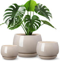 vancasso 3-Pack Ceramic Plant Pots, 3.7/4.8/6.2 Inch Indoor Planters with Saucers & Drainage Hole Planter pots for Indoor Plants and Flower, Gray