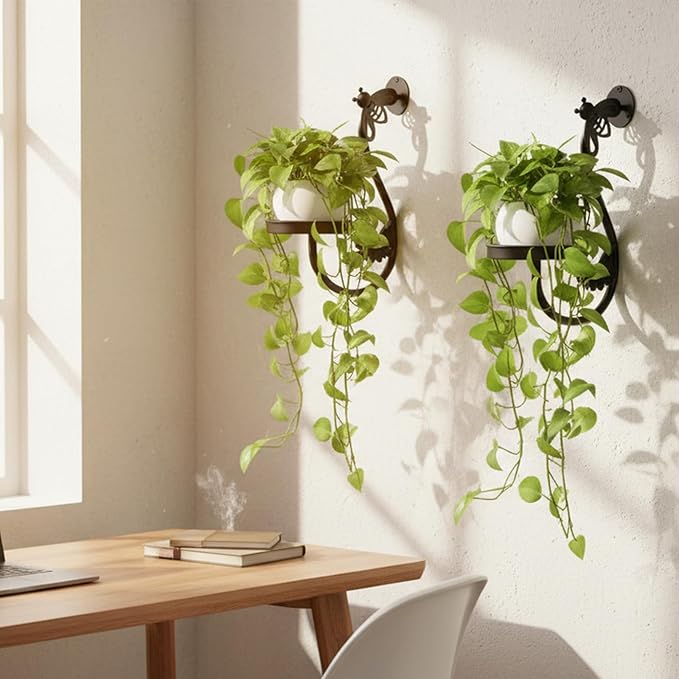 Wall Plant Holder Indoor, Metal Hanging Planters Hanger Floating Flower Display Stand for Window, Plant Shelves Hanging Plant Holder Window Plant Hanger Plant Decor Black (Bees-2pc)