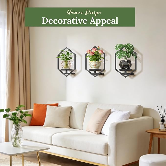 BXF Hexagon Floating Frame Plant Stand - 3 Pack Metal Wall Mounted Planters - Minimalist Geometric Hanging Decor for Indoor Succulents & Air Plants (Black, 3 Pack)