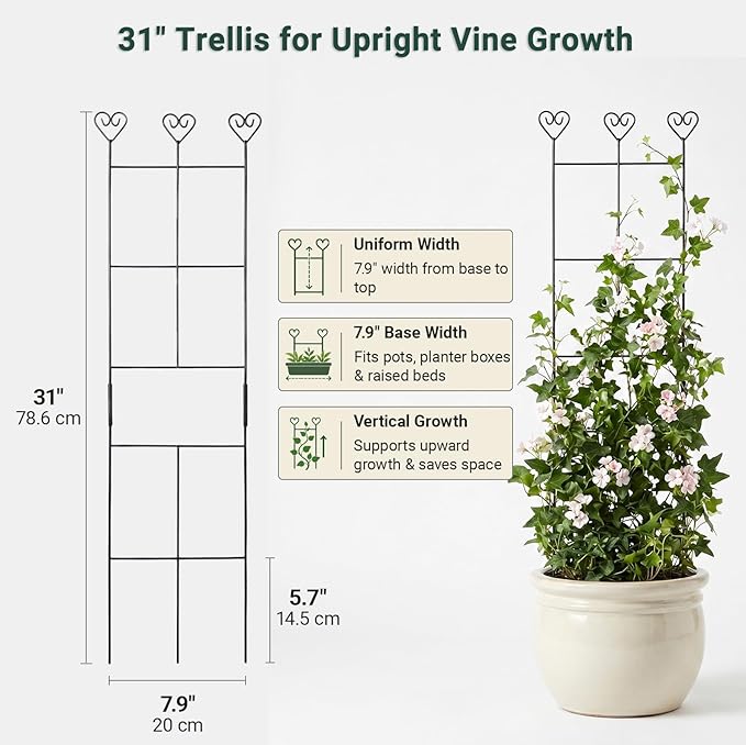 2 Pack 30'' Plant Trellis for Climbing Plants Indoors, Metal Garden Trellis for Potted Houseplant, Rustproof Plant Support for Ivy, Vines, Pothos, Hoya and Flower, Black